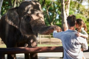Bali Experience Tour-Bali Zoo Activities