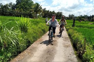 Bali Experience Tour-Cycling Activities