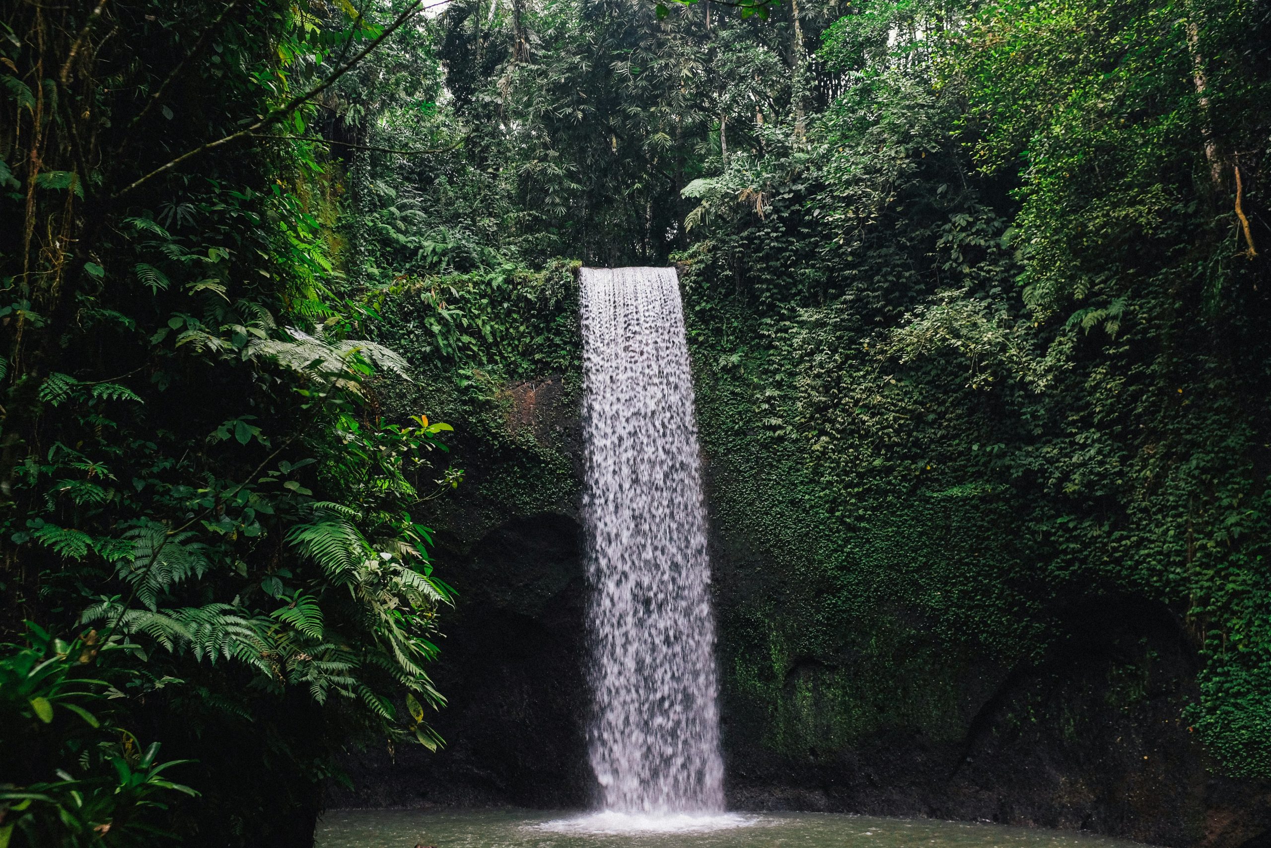 Bali Experience Tour-Tibumana Waterfall – A Hidden Oasis in the Jungle